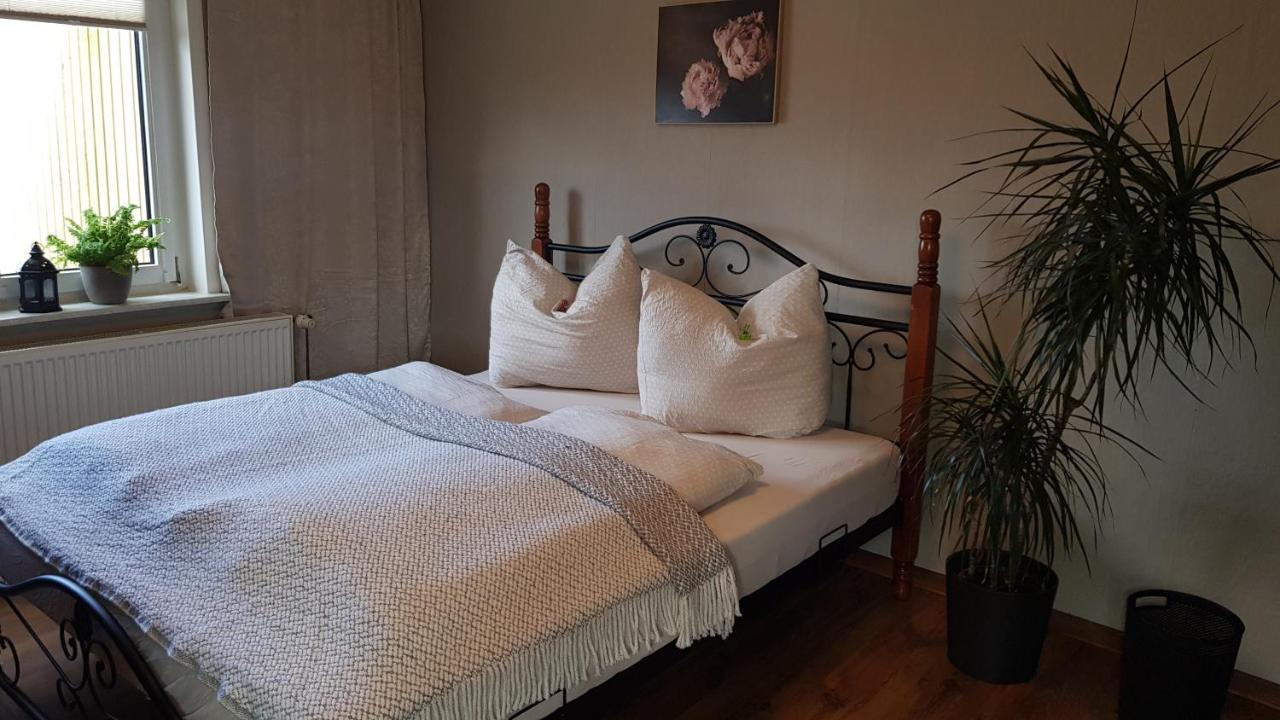 Ferienwohnung Malu Sol Im Harz - Stilvoll, Gemuetlich, Tierfreundlich - Mit Garten Альроде Екстер'єр фото
