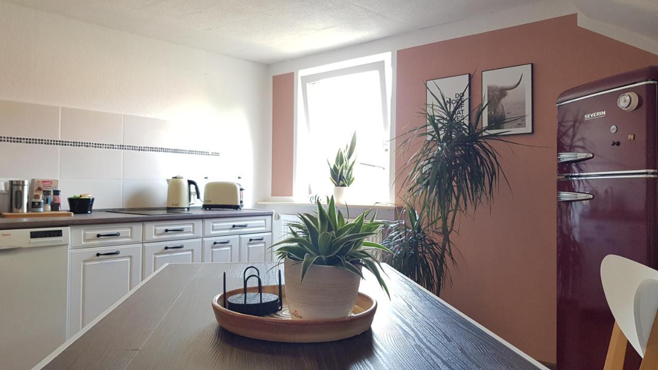 Ferienwohnung Malu Sol Im Harz - Stilvoll, Gemuetlich, Tierfreundlich - Mit Garten Альроде Екстер'єр фото