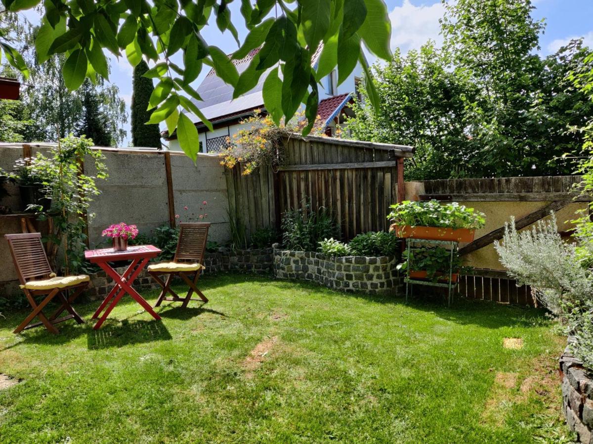 Ferienwohnung Malu Sol Im Harz - Stilvoll, Gemuetlich, Tierfreundlich - Mit Garten Альроде Екстер'єр фото